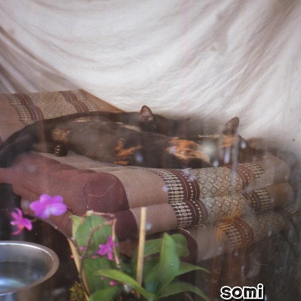 Image Cover